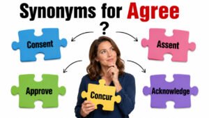synonyms for agree