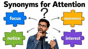 synonyms for attention