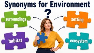 synonyms for environment