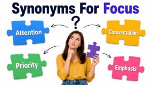 Synonyms for Focus