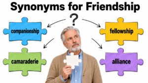 Synonyms for Friendship