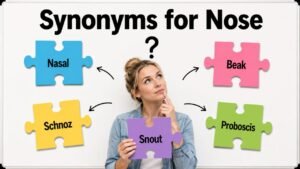 synonyms for nose