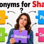 synonyms for share